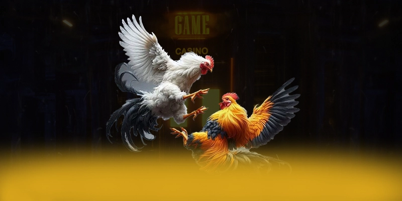 DAGA88 - Sân chơi được yêu thích trong giới game thủ