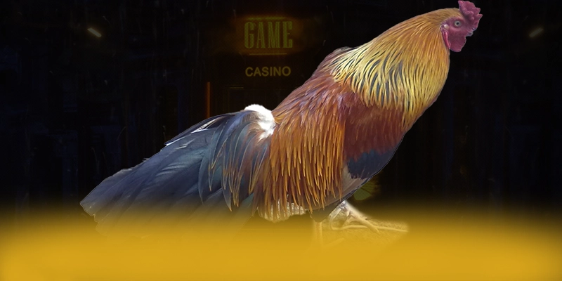 DAGA88 - Trang game được yêu thích 2025 DAGA88 - Trang game được yêu thích 2025