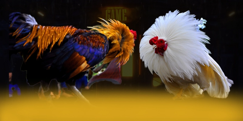 DAGA88 - Thương hiệu game uy tín có độ an toàn vượt trội hiện nay – Khám phá độ uy tín của DAGA88