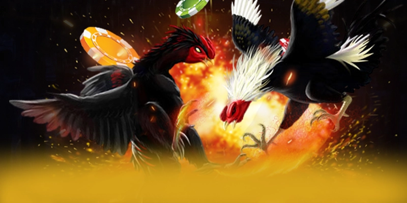 Tìm hiểu LC88 - Cổng trò chơi uy tín số 1 được quan tâm
Tìm hiểu LC88 - Cổng trò chơi uy tín số 1 được quan tâm