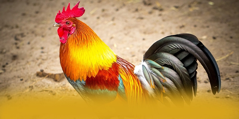 FAFA191 - Nền tảng cá cược mang đến trải nghiệm giải trí đỉnh cao hiện nay – Khám phá top FAFA191 FAFA191 - Nền tảng cá cược mang đến trải nghiệm giải trí đỉnh cao hiện nay – Khám phá top FAFA191