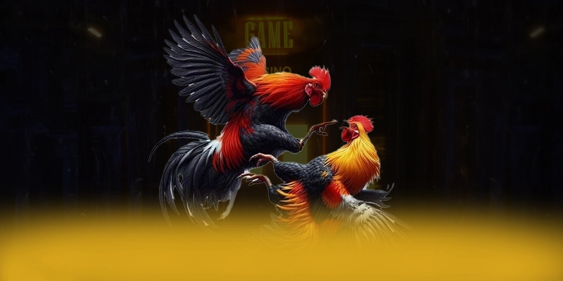 SUNWIN - Cổng game bài đẳng cấp đang làm mưa làm gió