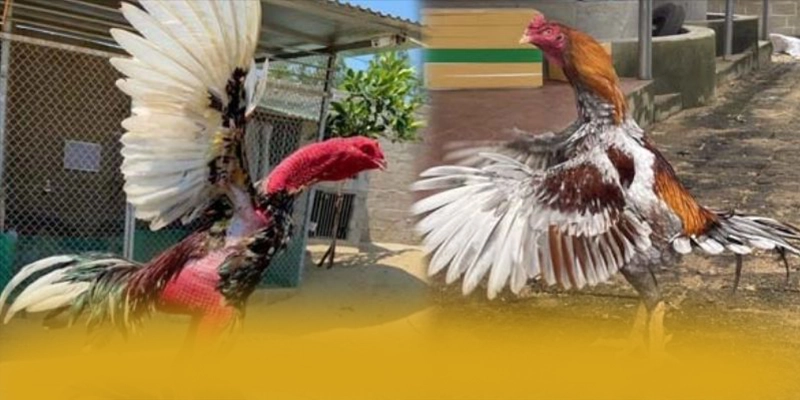 tài xỉu online - Tổng quan về hệ thống từ trải nghiệm thực tế. tài xỉu online - Tổng quan về hệ thống từ trải nghiệm thực tế.