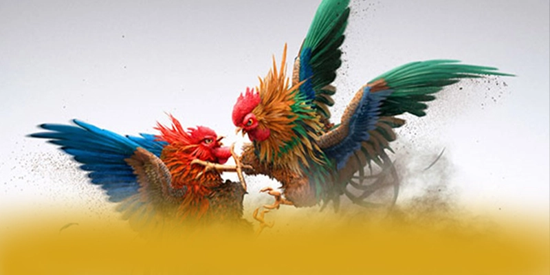 Khám phá BL555 - Cổng game có thưởng lớn trên thị trường
Khám phá BL555 - Cổng game có thưởng lớn trên thị trường