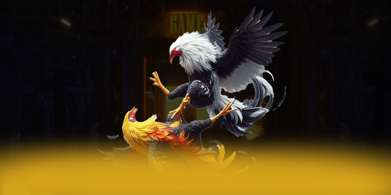 RR99 - Cổng trò chơi mang đến thế giới game đa dạng được yêu thích nhất – Tổng hợp game hot tại RR99 RR99 - Cổng trò chơi mang đến thế giới game đa dạng được yêu thích nhất – Tổng hợp game hot tại RR99