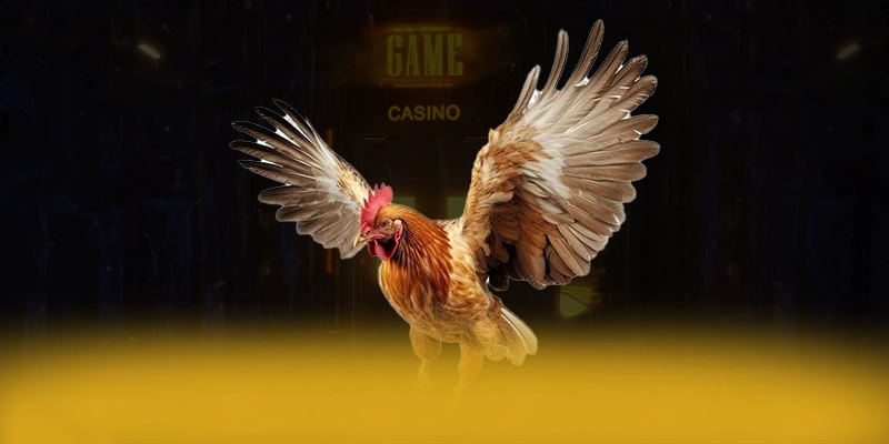 8XBET - Hỗ trợ người chơi 24/7 phản hồi nhanh