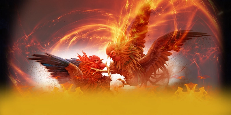8XBET - Nhà cái sở hữu danh mục sản phẩm đa dạng tại Việt Nam