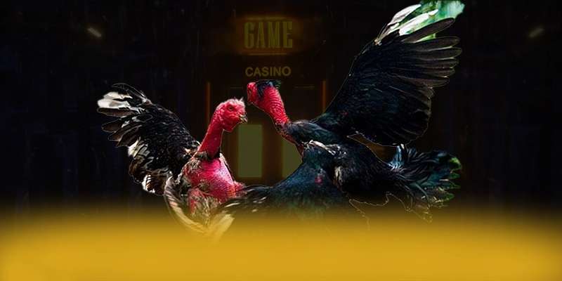 8xbet - Trang game co danh muc game hap dan tren thi truong