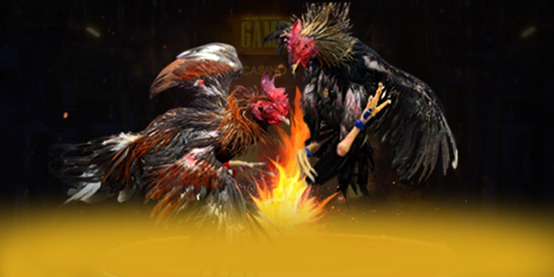 F8BET - Đánh giá cuối cùng — Nền tảng cá cược uy tín xứng đáng thử nghiệm