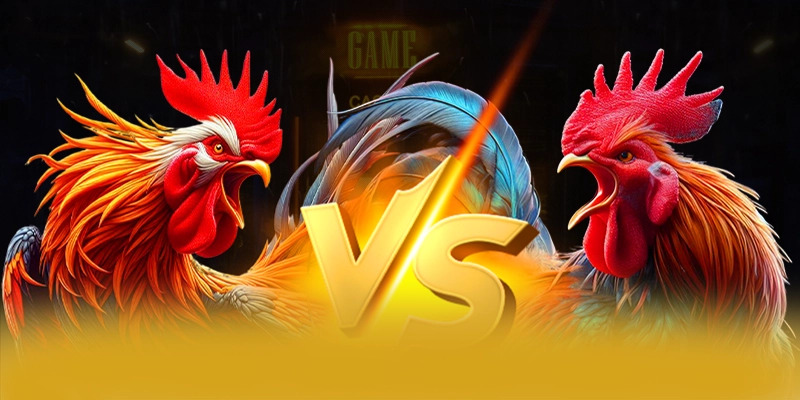 ZBET - Nền tảng cá cược sở hữu danh mục sản phẩm đỉnh cao hiện nay