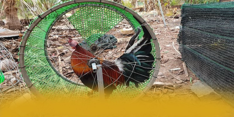 BET168 - Kết luận một cách chi tiết.